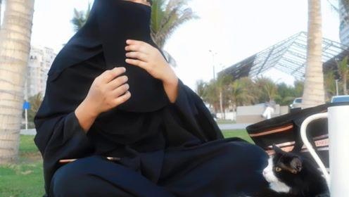 娱乐吃瓜君周也,揭秘娱乐圈幕后故事