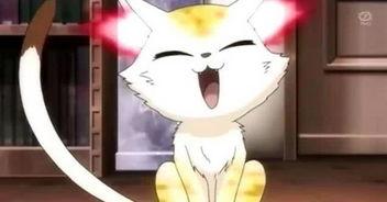 娱乐吃瓜酱长矛老师,娱乐吃瓜界的翘楚,揭秘娱乐圈幕后风云