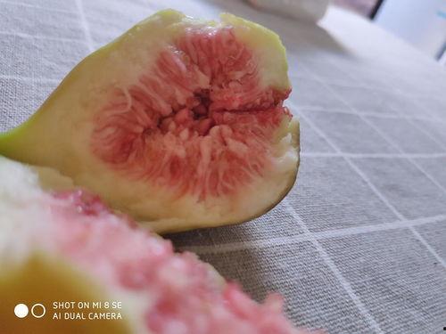 娱乐吃瓜酱密集恐惧症,娱乐吃瓜酱的惊悚之旅